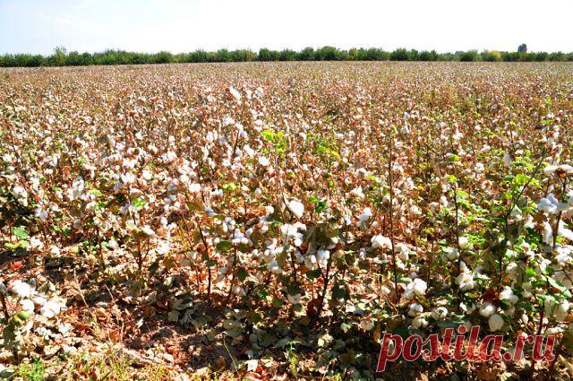 Сергей Кожевников
60 лет, Россия, г.Ликино-Дулево