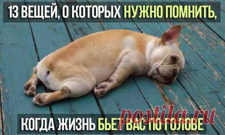 Всё самое интересное!: 13 вещей, о которых нужно помнить, когда жизнь бьет вас по голове