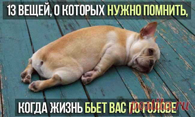 Всё самое интересное!: 13 вещей, о которых нужно помнить, когда жизнь бьет вас по голове