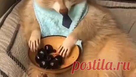 Вкусный перекус