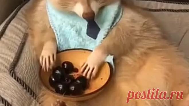 Вкусный перекус