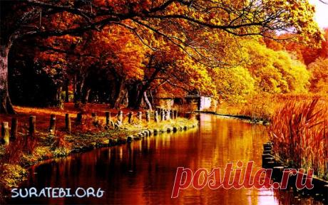 seasons, nature, autumn, photo, foto, beautiful, suratebi, image, wallpaper, picture, сезоны, года, природа, осень, фото, фотографии, фотки, картинки, заставки, field, forest, rain, leaf, fall, поле, лес, небо, солнце, луна, дождь, листопад,