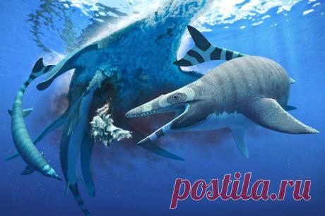 У древних морских ящериц были зубы, как у акул Новый вид относится к мозазаврам — семейству вымерших морских ящериц, которые являются родственниками современных варанов.