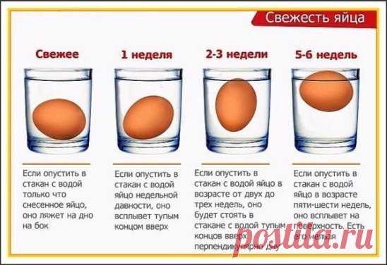 свежесть яиц   =)