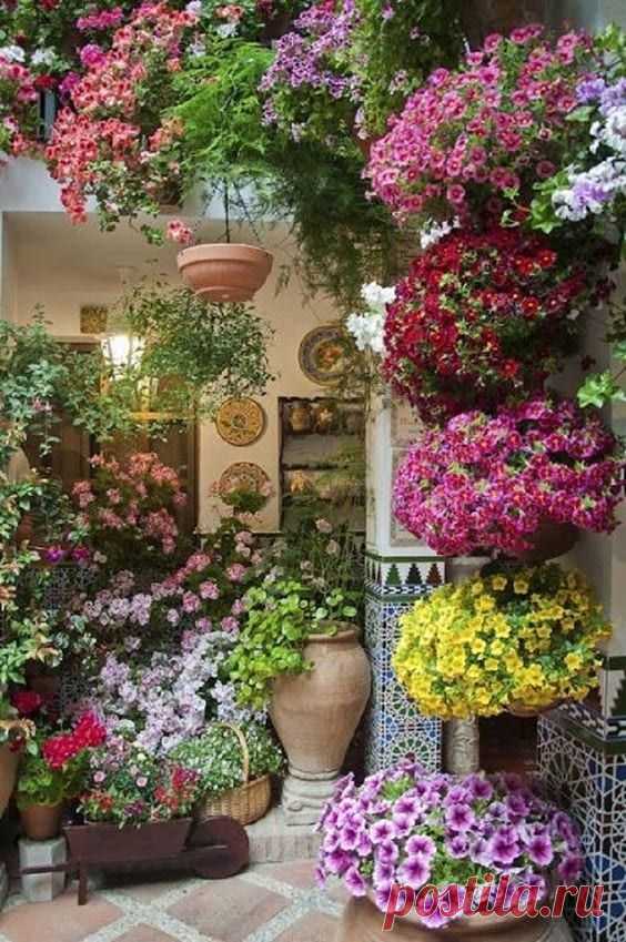 (959) Pinterest
