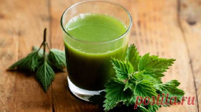 აი, რატომ უნდა მოიმარაგოთ ჭინჭარი: მას შეუძლია სასწაულების მოხდენა თქვენი ჯანმრთელობისთვის! - Vao.ge