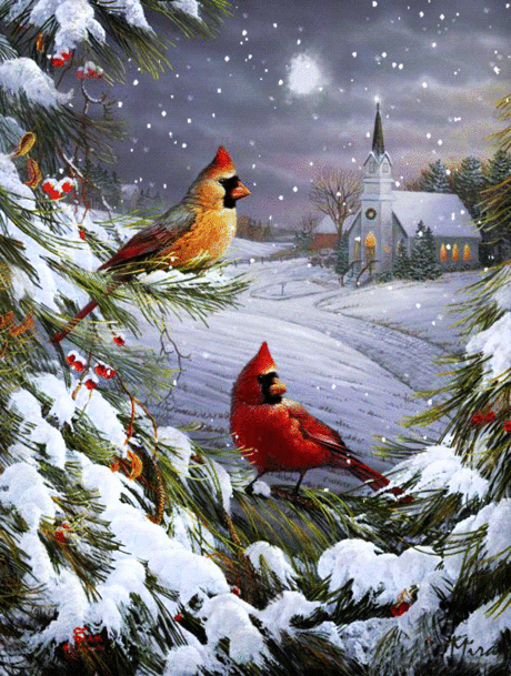 &quot;НОВОГОДНЯЯ ПТИЦА&quot; - КАРДИНАЛ / Вышивка / Вышивка крестом