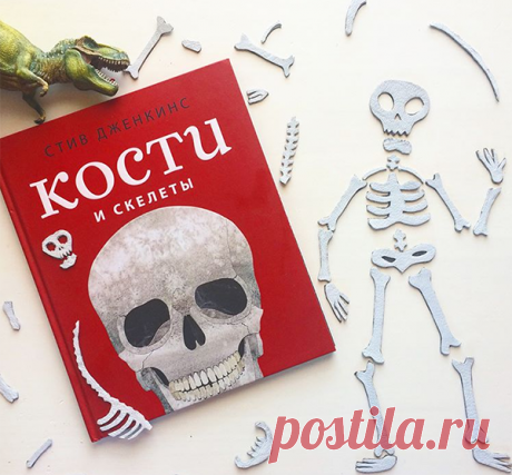 Книга-конструктор для любознательных мальчишек и девчонок. На её страницах — все 206 костей человека, которые затем собираются в целый скелет (чудеса!). А ещё много-много интересных фактов: о бедренной кости и Эйфелевой башне, единорогах и китах, самых больших и маленьких костях человека.