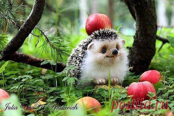 я ехала  домой на тырила  еды пел пьяный еж