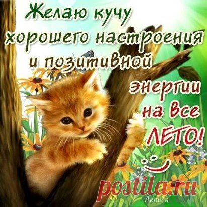 (43) Одноклассники