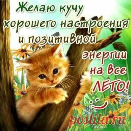 (43) Одноклассники