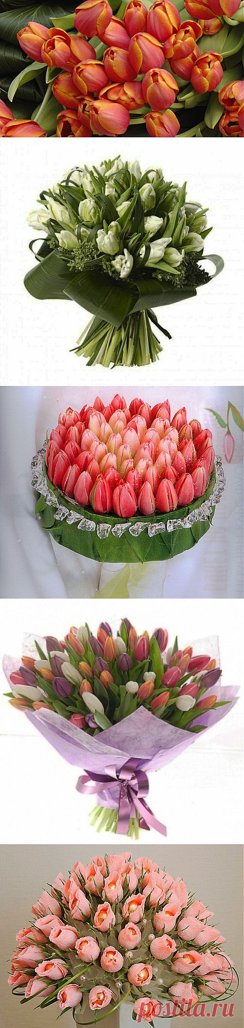 (+1) тема - Нежные и красивые тюльпаны не оставят равнодушной ни одну женщину | Интерьер и Дизайн