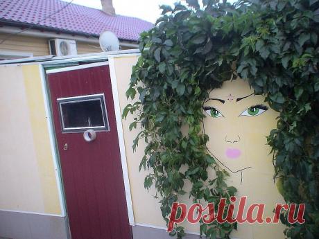 (1) Одноклассники