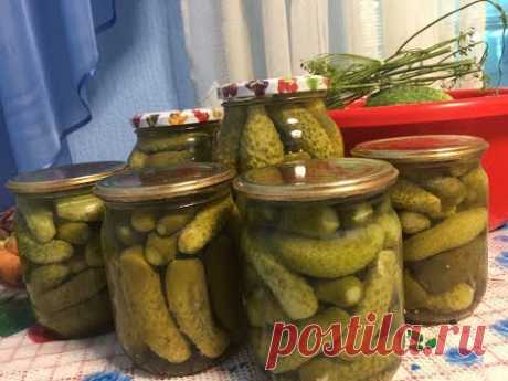 Маринованные Корнишоны с Горчицей Хрустящие Огурчики Рецепт