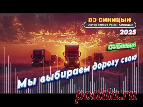 DJ СИНИЦЫН - Мы выбираем дорогу свою