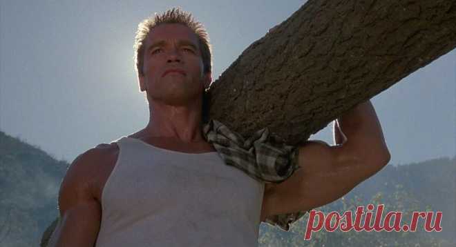 Как самому прокачать уверенность в себе. Кейс-Алгоритм. ч-1
Угнетает чувство собственной несостоятельности? Успешность других людей кажется чем-то недостижимым? Не уверен в себе и не знаешь с чего начать личностные изменения? Не все так плохо, из этого состояния точно есть выход! Эта серия статей — практическое руководство для людей, которые растеряны и долгое время не знают с чего именно им начать поиск ресурсов для […]
Читай дальше на сайте. Жми подробнее ➡