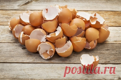 Яичная скорлупа накормит растения кальцием

Бесценные советы и секреты бывалых садоводов

Наступает время начала «кормления» наших любимых растений на приусадебном участке. Существует множество способов подкормки: и химических, и натуральных, но те и другие могут негативно сказаться на ваших огородных растениях.