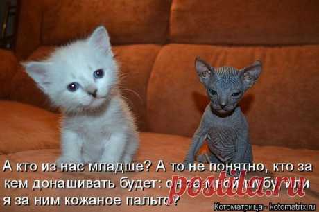 чем боженька наградил, в том и ходить будете, счастливые вы, однако...