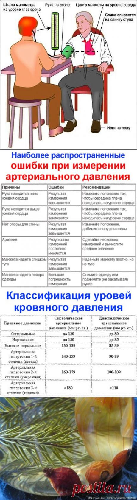 (45) Одноклассники