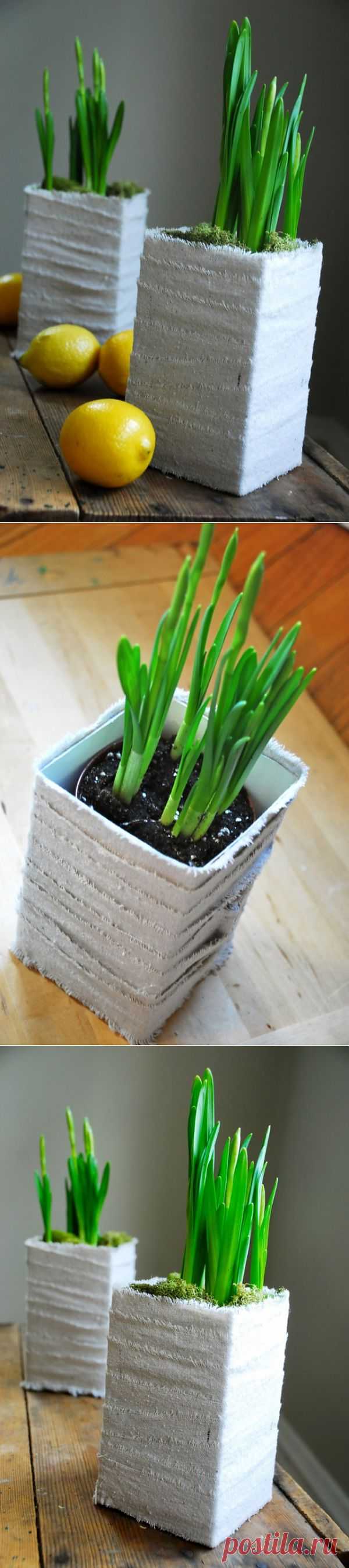 Забавные горшки / Цветы / Модный сайт о стильной переделке одежды и интерьера