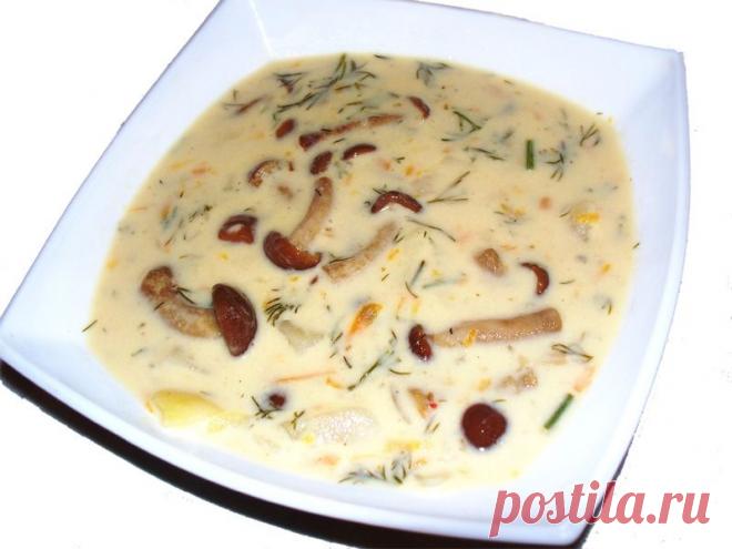 БЛЮДА ИЗ ГРИБОВ. | Записи в рубрике БЛЮДА ИЗ ГРИБОВ. | Дневник candra