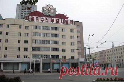 Российская футболистка фразой «будто во времени перенеслась» описала жизнь в КНДР