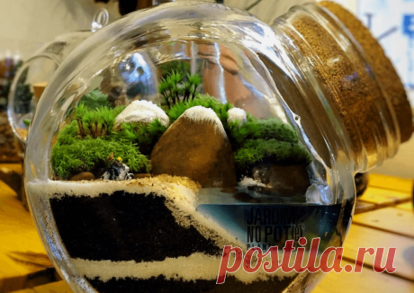 Флорариумы: виды, описание, идеи оформления ~ Planetalsad