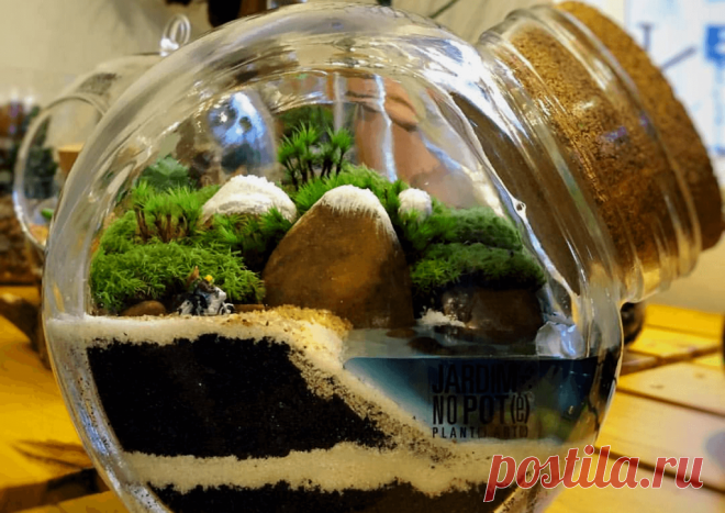Флорариумы: виды, описание, идеи оформления ~ Planetalsad