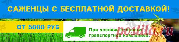 Плодово-ягодные