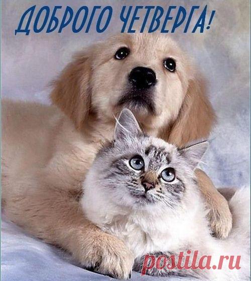 Интересные новости