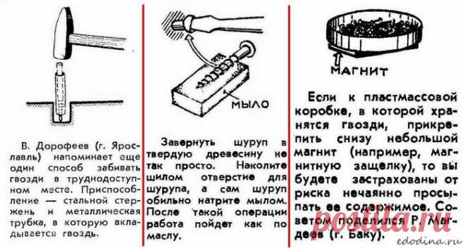 Лайфхаки из журнала "Наука и Жизнь" :: Блог Евгении Додиной