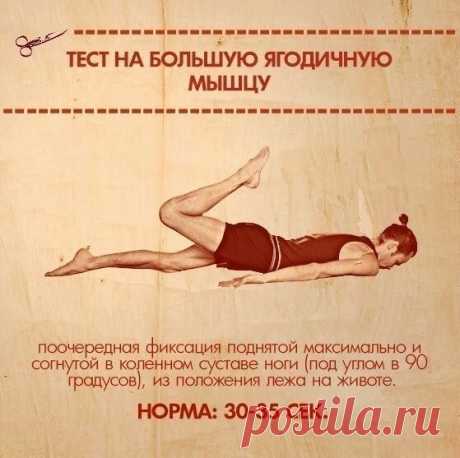 10 упражнений, которые покажут, какие из твоих мышц нуждаются в дополнительных тренировках.
Если твое тело хорошо натренировано, то все мышцы работают четко и слаженно, как швейцарские часы. Но в противном случае всё вовсе не так. Одни мышцы могут быть постоянно расслабленными, а другие перенапряжены. Естественно, такой диссонанс не может положительно сказываться на организме в целом.
Поэтому дружный коллектив сайта «Так Просто!» приготовил для тебя подборку упражнений, ко...