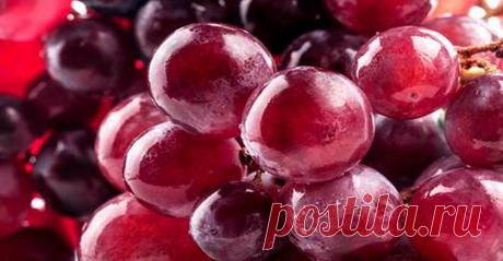 Ягода от давления, подагры, проблем с кожей, морщин, остеопороза и даже рака! Это вкусно и полезно! Вот несколько неоспоримых преимуществ винограда для нашего здоровья! Каждый из нас знает о пользе регулярного употребления фруктов и овощей. В этой статье мы хотели поговорить с вами о б одном удивительном лакомстве – винограде! Виноград, является идеальным десертом для людей...