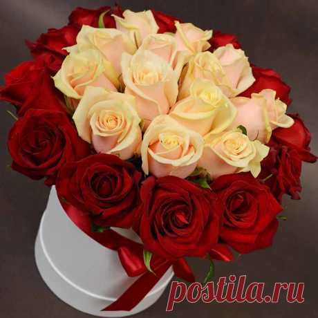 (53) Одноклассники