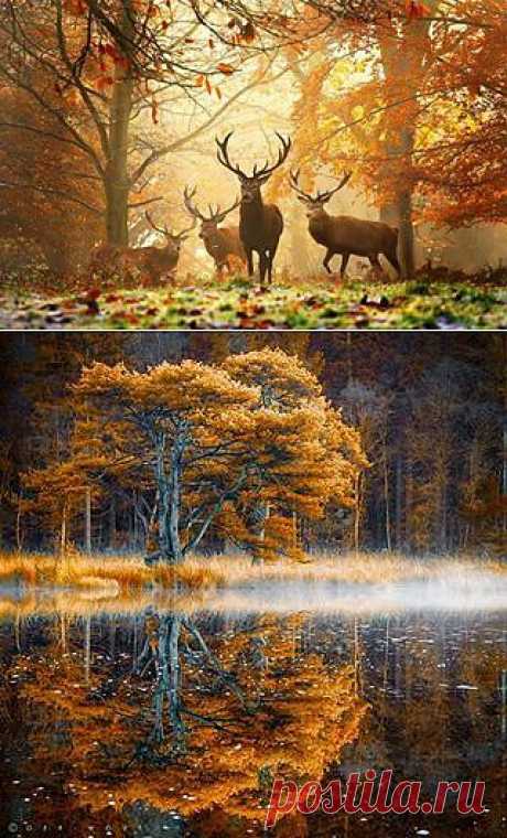 (6) Facebook