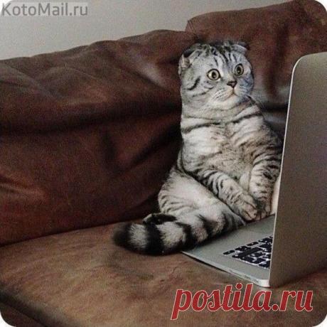 Компьютерная любовь