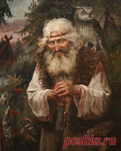 Андрей Шишкин. В лесной глуши