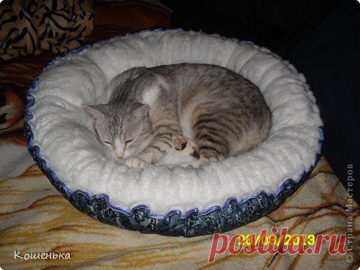 Для любимого питомца! | Страна Мастеров