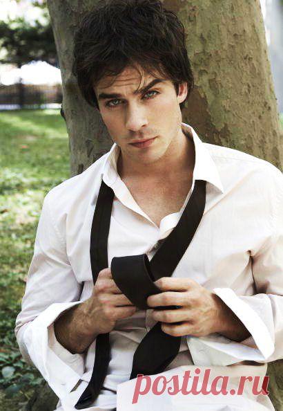 эйн сомерхолдер: 7 тыс изображений найдено в Яндекс.Картинках