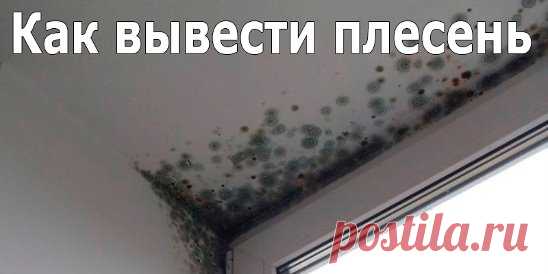 (46) Одноклассники