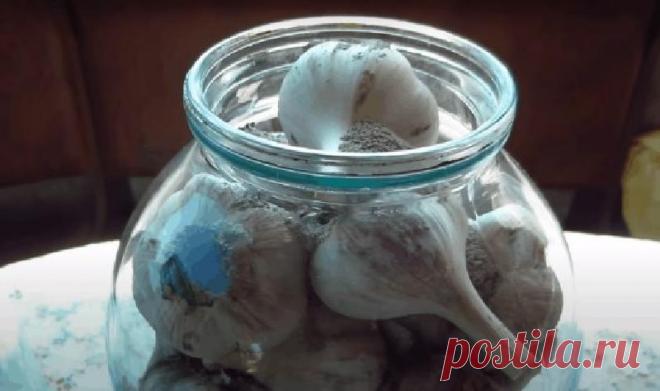 Чеснок остается сочным, ароматным и хранится целый год: метод хранения в банке