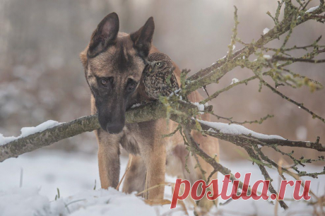 by+Tanja+Brandt.jpg (987×657)