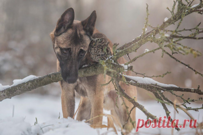 by+Tanja+Brandt.jpg (987×657)