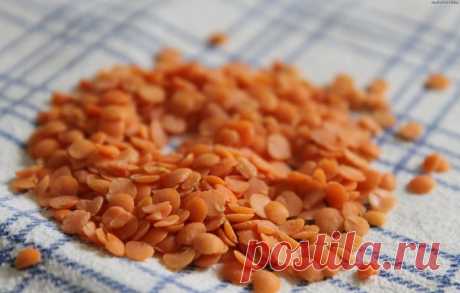 Как приготовить чечевицу вкусно