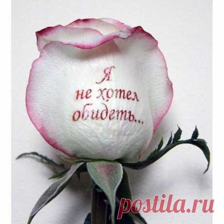 надписи на цветах домаHandMade | Группы Мой Мир