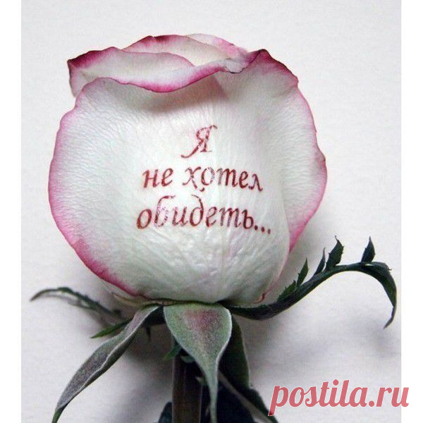 надписи на цветах домаHandMade | Группы Мой Мир
