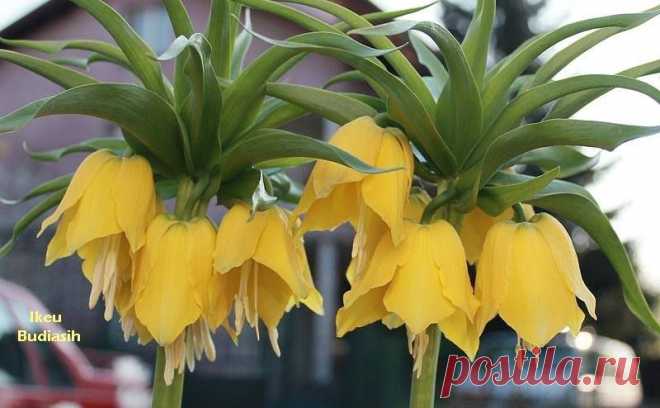 (10) Facebook