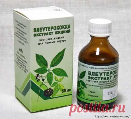 Экстракт элеутерококка от морщин, угрей и облысении.