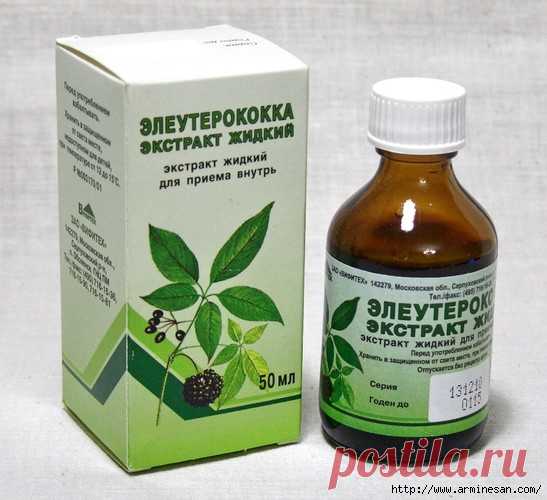 Экстракт элеутерококка от морщин, угрей и облысении.