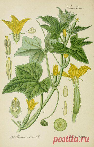 ~ MON PLAISIR ~ Вещи для души. Винтаж,Прованс.